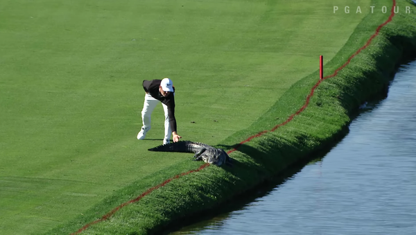 Ce golfeur n’a pas voulu partager le green avec un alligator - Sputnik Afrique