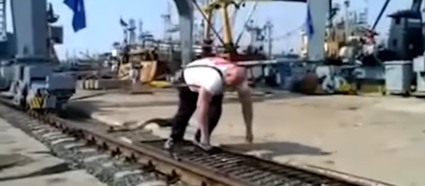 Un champion russe déplace une grue portuaire Un champion russe déplace une grue portuaire - Sputnik Afrique