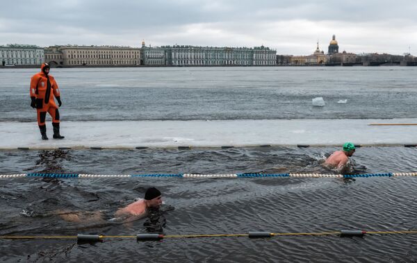 Le festival de natation hivernale de Saint-Pétersbourg - Sputnik Afrique