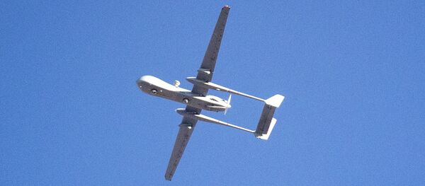 drone israélien - Sputnik Afrique