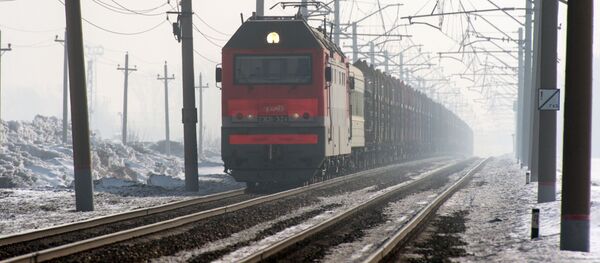 Le train de marchandises sur l'une des branches du Transsibérien dans la région de Novossibirsk - Sputnik Afrique