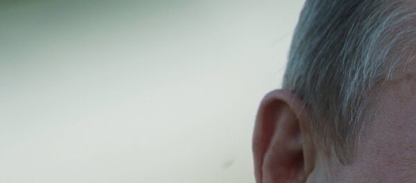 Vladimir Poutine - Sputnik Afrique