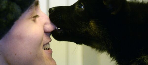 Un petit chien qui mord - Sputnik Afrique