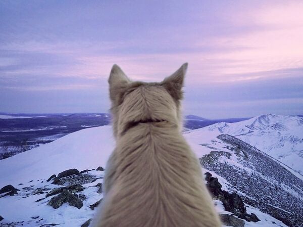 Les yeux qui sentent: que voit un photographe russe aveugle? - Sputnik Afrique