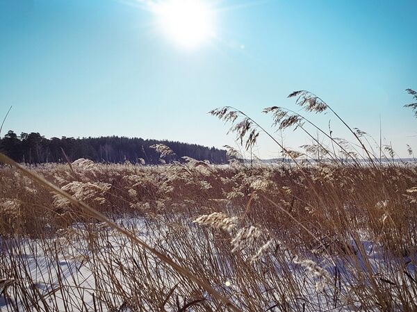 Les yeux qui sentent: que voit un photographe russe aveugle? - Sputnik Afrique