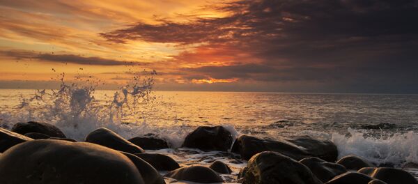 mer Noire - Sputnik Afrique