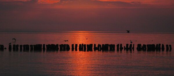 La mer Baltique - Sputnik Afrique