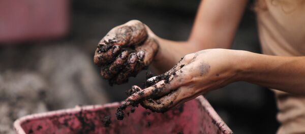 Fouilles (image d'illustration) - Sputnik Afrique