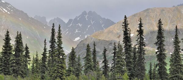 Alaska - Sputnik Afrique