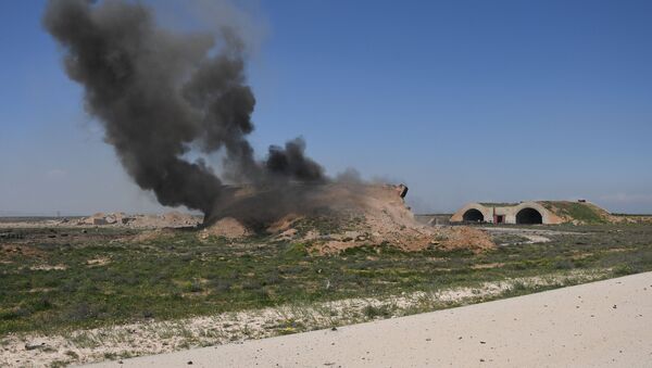 Les conséquences des frappes aériennes US contre la base militaire Shayrat en Syrie - Sputnik Afrique