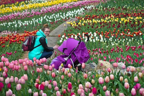 Le défilé des tulipes au Jardin botanique Nikitski - Sputnik Afrique