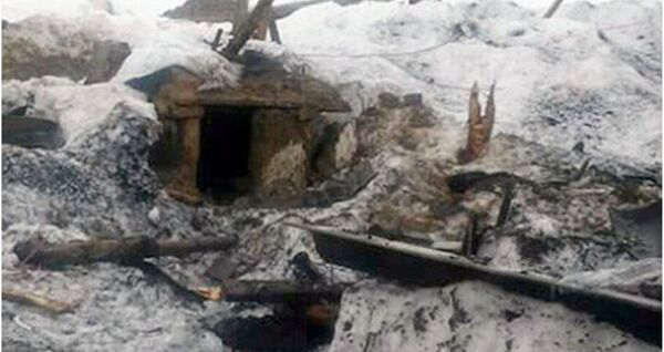 Au Kirghizistan, un chien survit après avoir passé 44 jours sous une avalanche - Sputnik Afrique