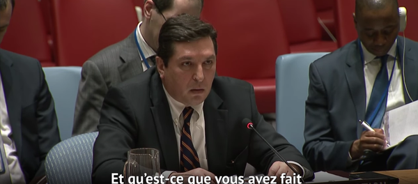 «Regarde-moi! Ne détourne pas le regard! » Safronkov répond au représentant britannique - Sputnik Afrique