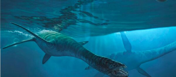 Un élasmosaure - Sputnik Afrique