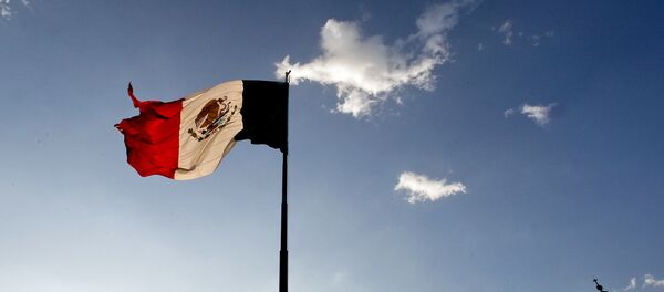 Un drapeau mexicain - Sputnik Afrique