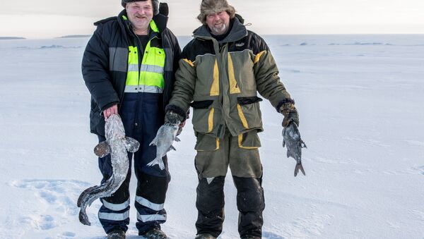 Deux pêcheurs russes ont fêté Pâcques à la dérive… dans les eaux norvégiennes - Sputnik Afrique