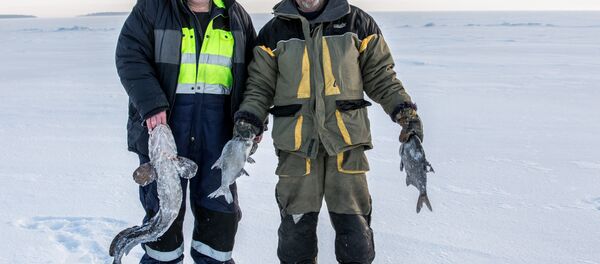 Deux pêcheurs russes ont fêté Pâcques à la dérive… dans les eaux norvégiennes - Sputnik Afrique