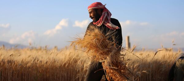 les fermiers syriens - Sputnik Afrique