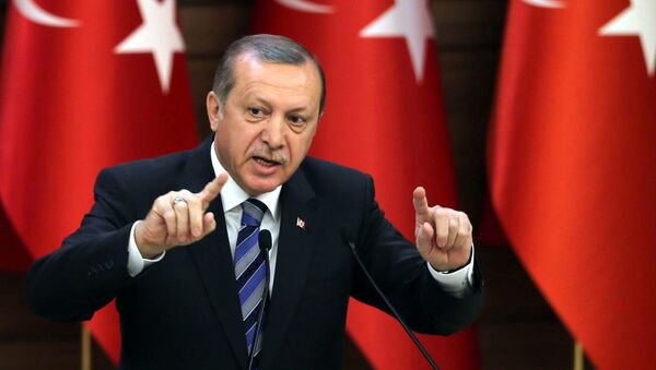 Turkish President Recep Tayyip Erdogan (File) - Sputnik Afrique