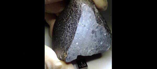 Black Beauty - Sputnik Afrique