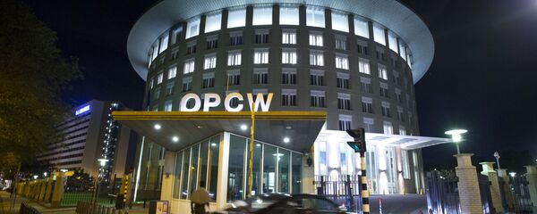 Le siège de l'OIAC à La Haye Le siège de l'OIAC à La Haye - Sputnik Afrique