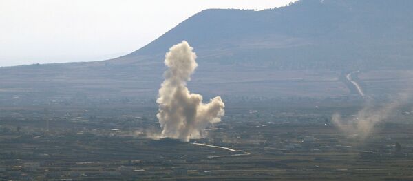 Plateau du Golan - Sputnik Afrique