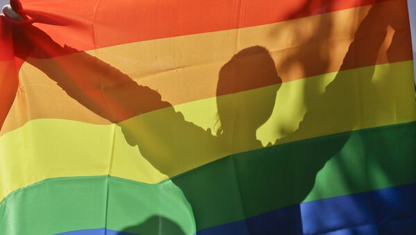 Le drapeau LGBTQ - Sputnik Afrique