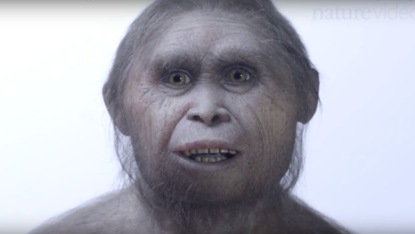 Homo floresiensis - Sputnik Afrique