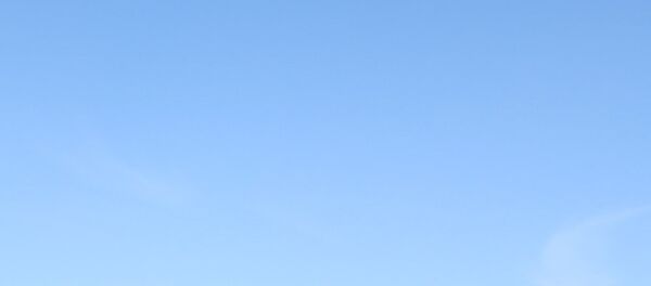 Un combattant des Forces démocratiques syrienes près de Raqqa - Sputnik Afrique