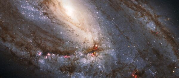 Cette image réalisée par le télescope spatial Hubble NASA/ESA montre la galaxie M66 - Sputnik Afrique