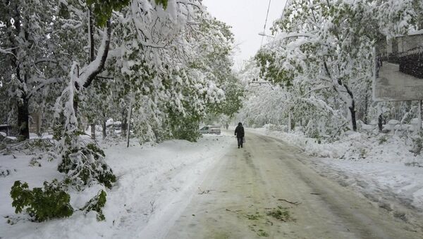 Les chutes de neige à Chisinau coûteront 2,7 M EUR à la municipalité - Sputnik Afrique