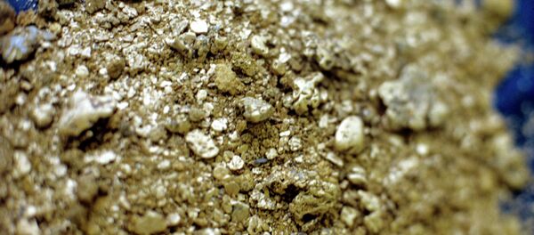 Самородное золото - Sputnik Afrique