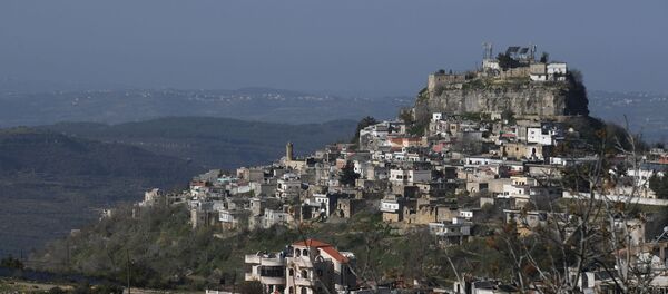 Hama Hama - Sputnik Afrique