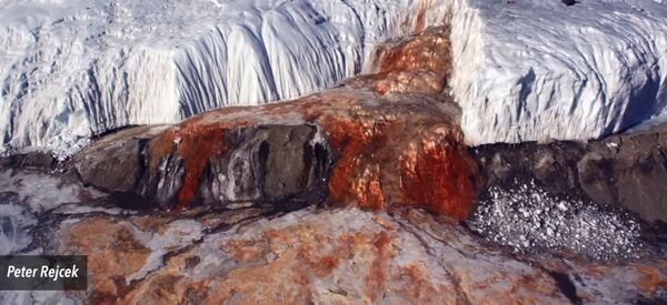 Des chercheurs US lèvent le voile sur les «cascades de sang» du glacier Taylor - Sputnik Afrique