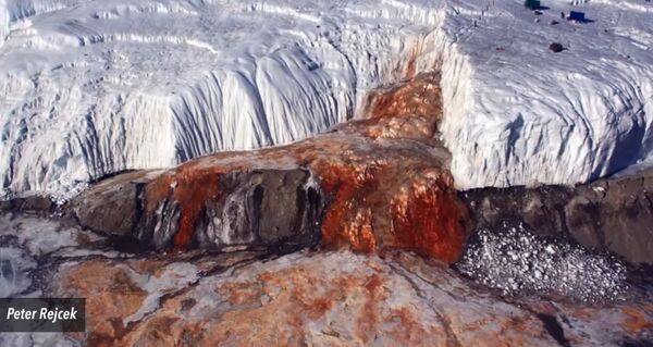 Des chercheurs US lèvent le voile sur les «cascades de sang» du glacier Taylor - Sputnik Afrique