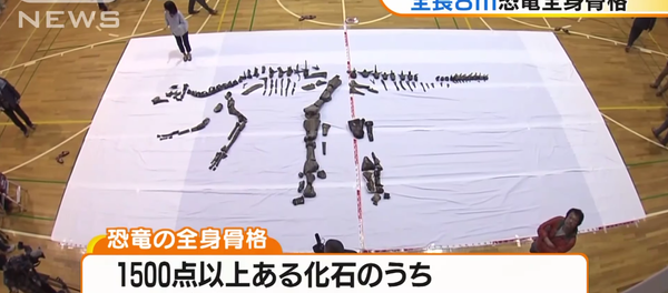 Le plus grand dinosaure du Japon reconstitué et présenté - Sputnik Afrique