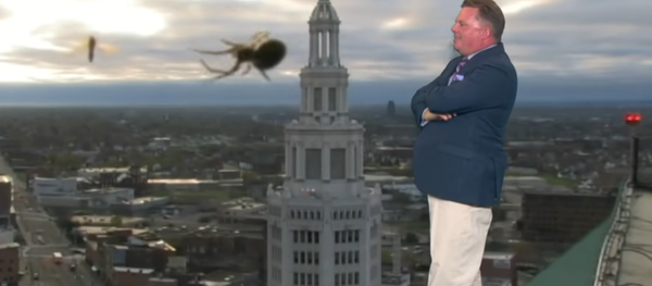 Patrick Hammer, présentateur météo - Sputnik Afrique