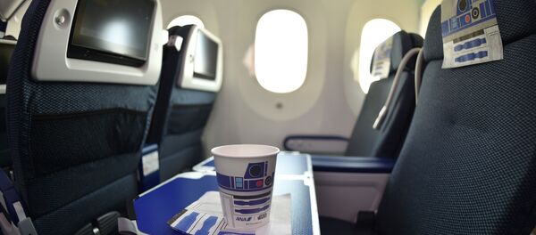 All Nippon Airways (ANA) Boeing - Sputnik Afrique