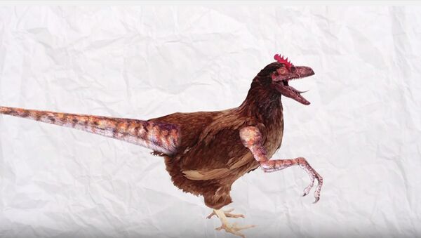 Au crétacé, les poules avaient des dents, un dinosaure découvert en Chine le prouve! - Sputnik Afrique