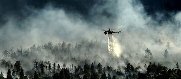 Un puissant feu détruit la forêt autour de la centrale de Fukushima Un puissant feu détruit la forêt autour de la centrale de Fukushima - Sputnik Afrique