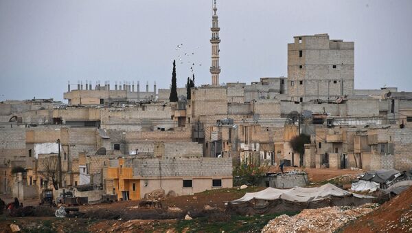 Buildings in Hama, Syria - Sputnik Afrique