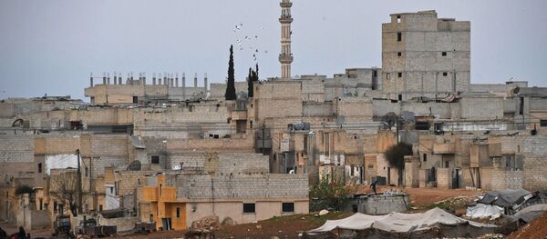 Buildings in Hama, Syria - Sputnik Afrique