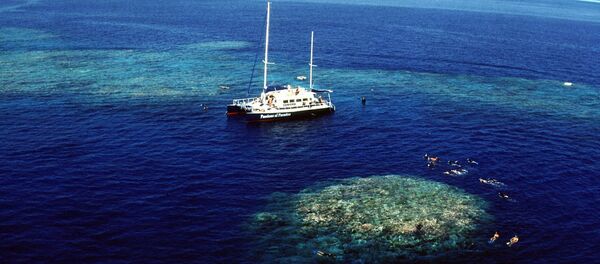 Tourists snorkel around Upolu Cay on the Great Barrier Reef near Cairns off the Australian north east coast - Sputnik Afrique