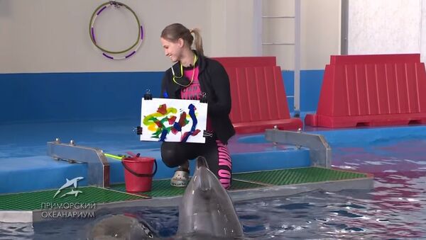 Des dauphins qui peignent? À Vladivostok, ils vous feront une toile gratuite! - Sputnik Afrique