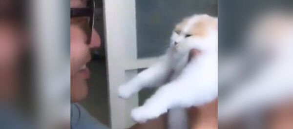 Quand trop d’amour tue l’amour - Sputnik Afrique