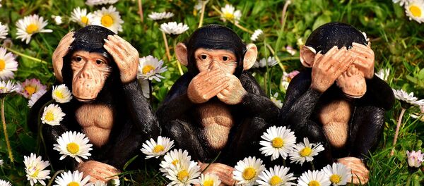 la liberté d'expression - Sputnik Afrique