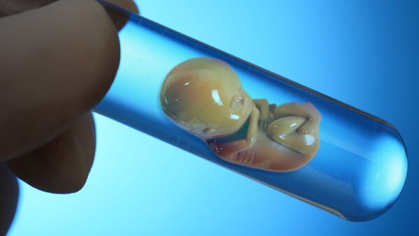 Модель эмбриона в пробирке - Sputnik Afrique