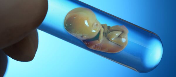 Модель эмбриона в пробирке - Sputnik Afrique