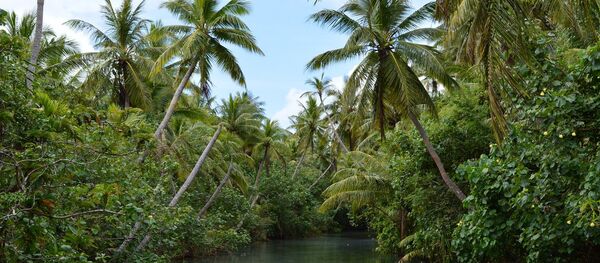 Остров Гуам: река Талофофо, которая рассекает джунгли на острове пополам - Sputnik Afrique