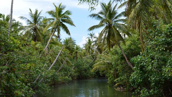 Остров Гуам: река Талофофо, которая рассекает джунгли на острове пополам - Sputnik Afrique